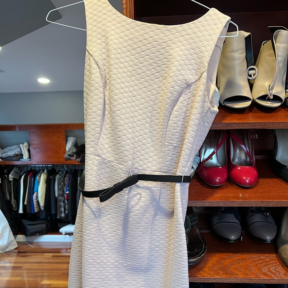 Cocktail, office, date night dress from the limited